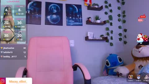 Snapshot of macey_hairy chatting on 12.23.24 Macey Elliot Modelo Independiente online show from 12.23.24