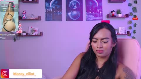 Snapshot of macey_hairy chatting on 02.06.25 Macey Elliot Modelo Independiente online show from 02.06.25