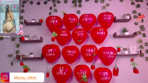 Snapshot of macey_hairy chatting on 02.15.25 Macey Elliot Modelo Independiente online show from 02.15.25