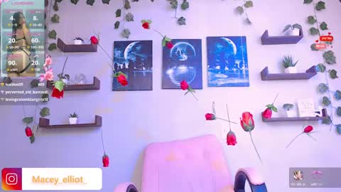 Snapshot of macey_hairy chatting on 02.26.25 Macey Elliot Modelo Independiente online show from 02.26.25