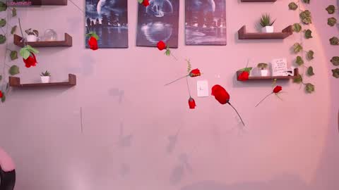 Snapshot of macey_hairy chatting on 03.01.25 Macey Elliot Modelo Independiente online show from 03.01.25