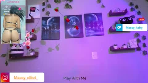 Snapshot of macey_hairy chatting on 03.12.25 Macey Elliot Modelo Independiente online show from 03.12.25