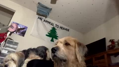 SummerPeach online show from 12.06.24