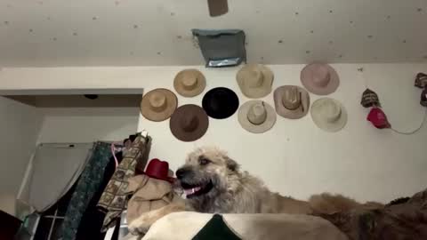 SummerPeach online show from 01.07.25