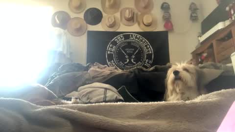 SummerPeach online show from 02.03.25