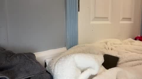 madibaby999 online show from 01.15.26