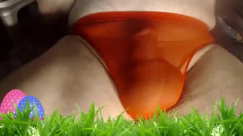 maestro2017 online show from 04.09.26