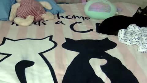 maferchavez88 online show from 01.17.26