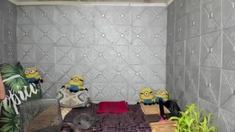 Snapshot of magicsaya chatting on 10.13.25 TsKaycee online show from 10.13.25