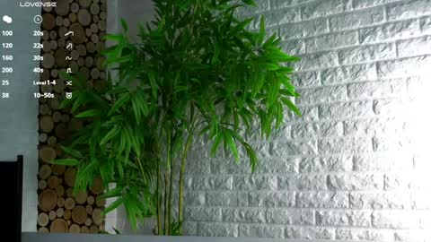 Lucy online show from 04.08.26