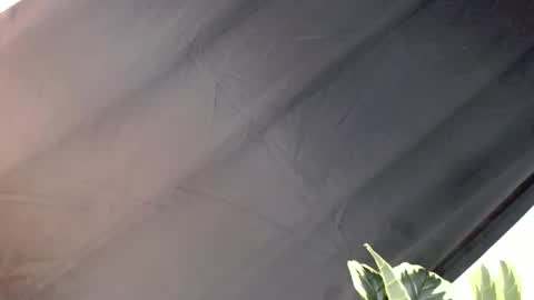 Snapshot of majesticcock_kyla chatting on 10.22.25 majesticcock_kyla online show from 10.22.25