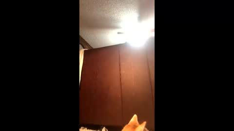 Snapshot of makinziirain chatting on 02.21.26 KarizmaticKitten online show from 02.21.26