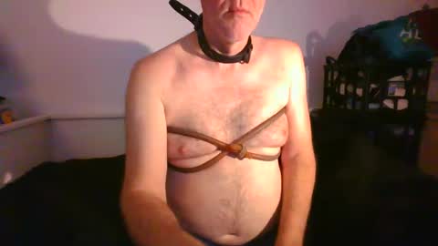 CommandbondageNipples bondage kink submissive lovense slave wgear. modequiethvyBondage If Password goldfish online show from 01.29.25