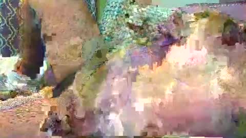 maleficientoffer online show from 10.06.25