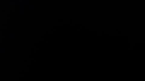 Snapshot of maliceinwonderland25 chatting on 11.02.25 Alice Asylum online show from 11.02.25