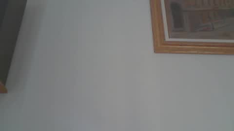 Snapshot of mandrillus chatting on 01.24.25 mandrillus online show from 01.24.25