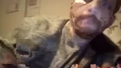 LANGERFICK online show from 01.18.25