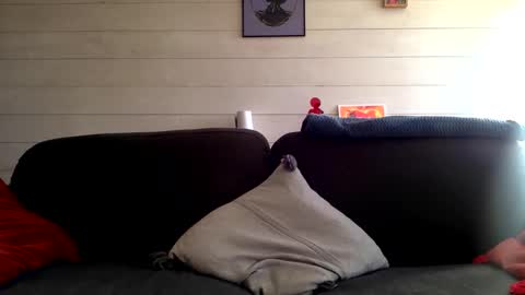 Manpo online show from 10.12.25