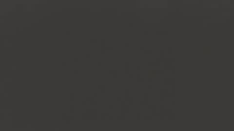 Snapshot of manuel444rl chatting on 03.02.25 Manuel RL online show from 03.02.25