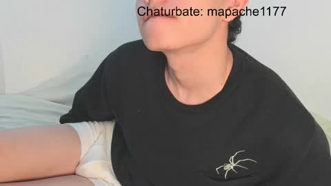 Snapshot of mapache1177 chatting on 05.19.26 mapache1177 online show from 05.19.26