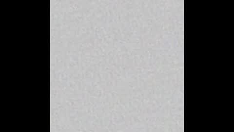 Maple online show from 02.06.25