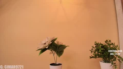 Marcela online show from 09.29.25