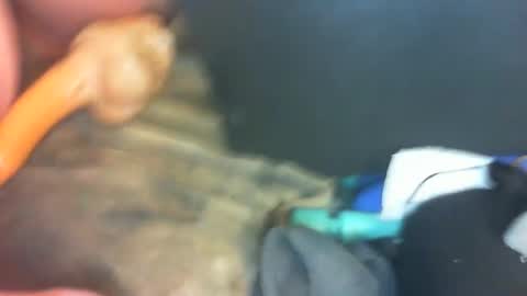 Marc online show from 01.01.25