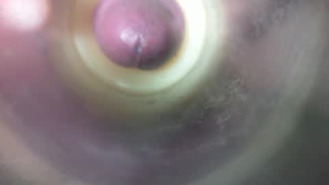 Marc online show from 02.19.26