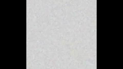 Marceline online show from 11.20.25