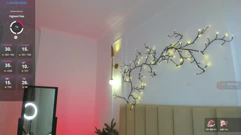 mari_nett online show from 12.27.24