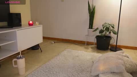 M. online show from 11.19.25