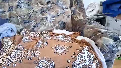 marian20242025 online show from 03.11.26