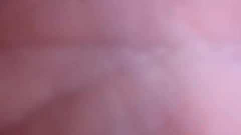 mark2711568331 online show from 11.04.25