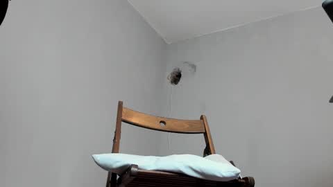 Snapshot of markwaynescr chatting on 10.16.25 MARK online show from 10.16.25