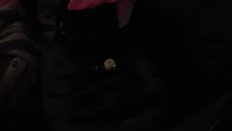 martamoontrans online show from 11.17.25