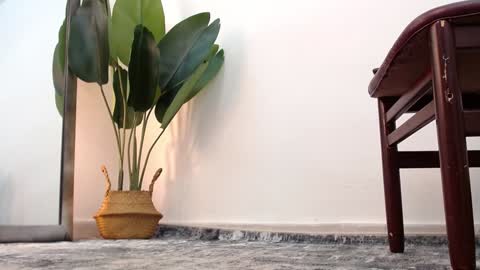 marthina thompson online show from 12.24.24