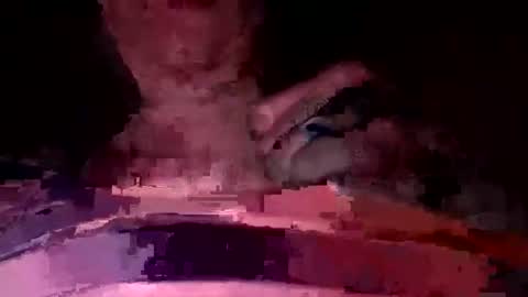 martinhopetaylor online show from 07.17.26