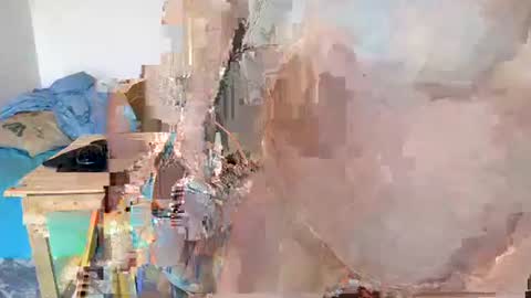 Snapshot of martymc1967 chatting on 01.21.25 Moose online show from 01.21.25