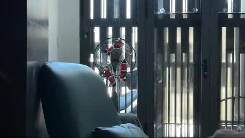 Telegram - FlyingDutchmana online show from 03.27.26