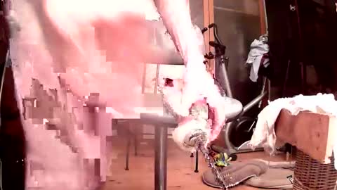 maschpro online show from 10.24.25