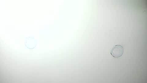 MashaPink online show from 04.07.26