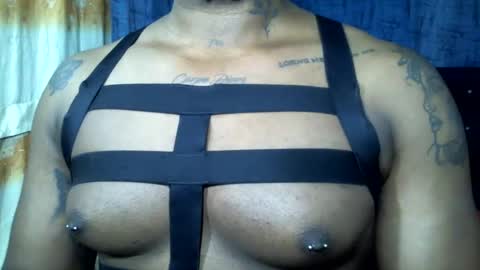 Snapshot of mastershow69 chatting on 02.02.25 camilo online show from 02.02.25