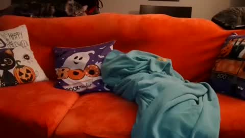 alex online show from 10.20.25