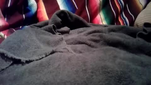 mastrdebator online show from 12.01.25