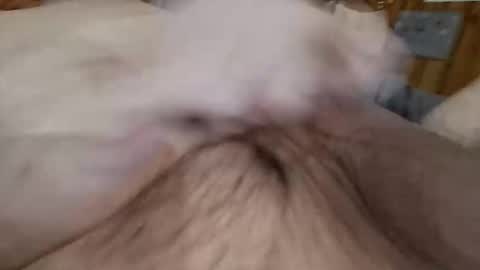 Snapshot of masturbator469658 chatting on 11.07.25 masturbator469658 online show from 11.07.25