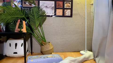 SuSu online show from 01.16.26