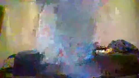 matt48195571828 online show from 05.31.26