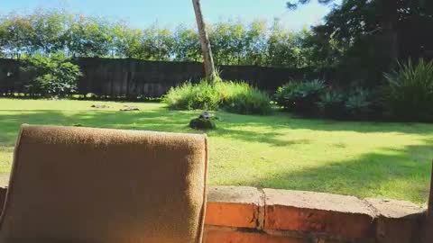 Matt Sweet online show from 01.14.26