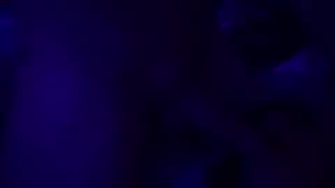 SilverFox online show from 11.10.25