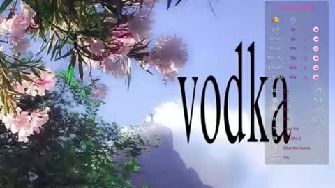 Snapshot of mavis_crystal chatting on 11.08.25 Mavis online show from 11.08.25